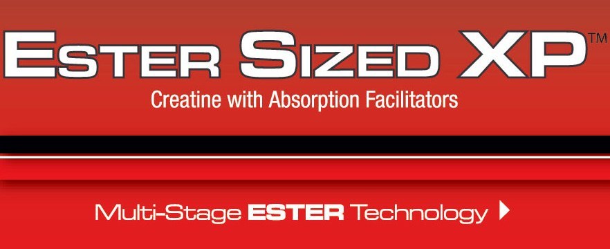 ester_sized_xp