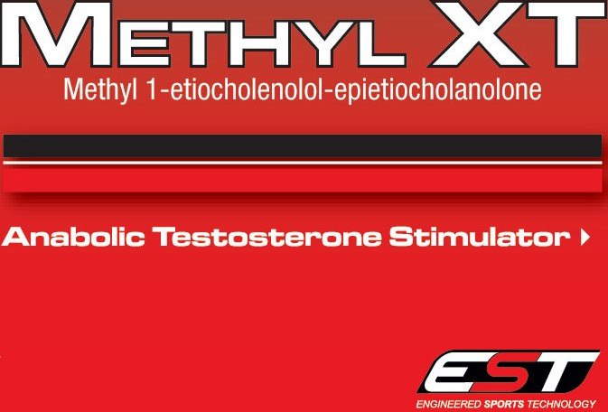 methyl_XT