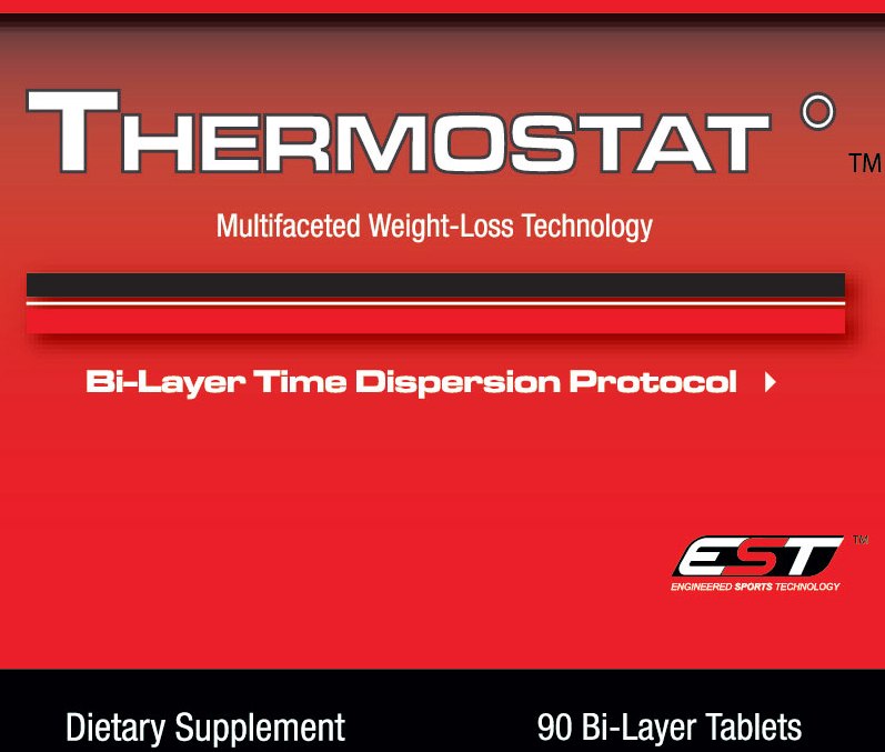thermostat