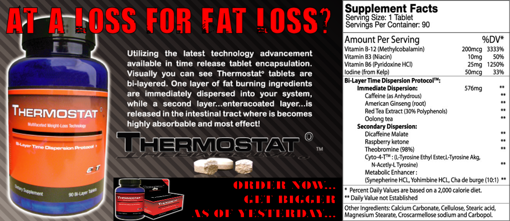 THERMOSTAT