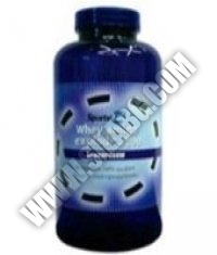 VITAL PHARMA Аминокиселини WHEY AMINO EXPLODE 2300  180 tabs