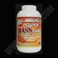 POWER FOOD POWER MASS GAIN