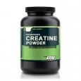 OPTIMUM NUTRITION Micronized Creatine Powder