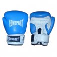 EONSPORT Boxing Gloves - Training 10 оz
