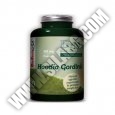 BIOTECH USA Hoodia Gordinii 250 mg. / 60 Caps.