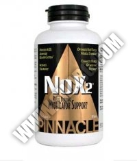 PINNACLE/BODYONICS Напомпващи - Азотни NOX 2 90 caps