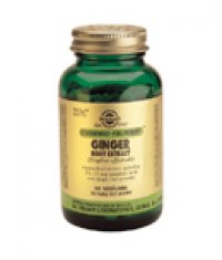 SOLGAR На Билкова Основа GINGER ROOT EXTRACT, S.F.P.  60caps