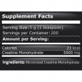 100% Pure Creatine