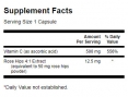 Vitamin C with Rose Hips 500 mg / 100 Caps