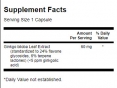 Ginkgo Biloba Extract 60mg. / 30 Caps