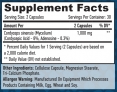 Cordyceps 500 mg / 60 Vcaps