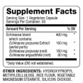 Echinacea 400 mg / 60 Caps