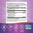 Pomegranate Premium Extract / 60 Vcaps