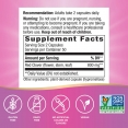 Red Clover Blossom & Herb / 100 Vcaps