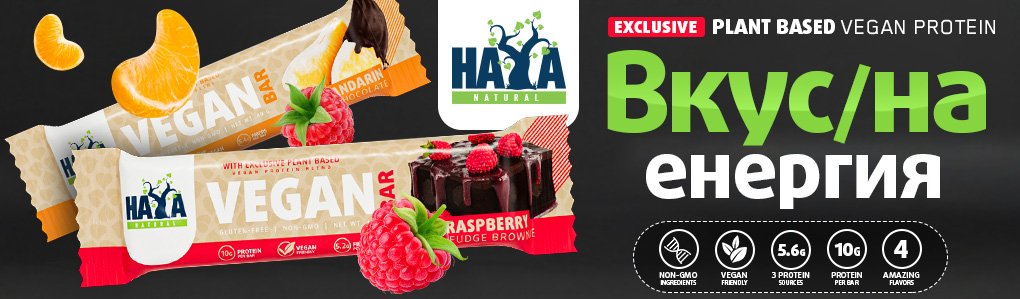 HAYA LABS Vegan Protein Bar / 40 g