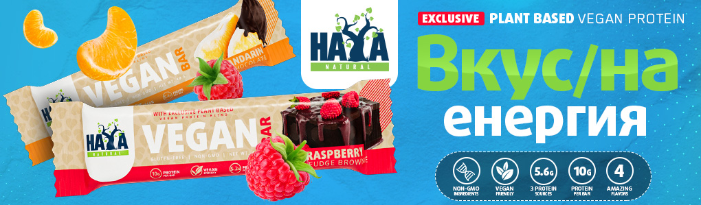 HAYA LABS Vegan Protein Bar / 40 g