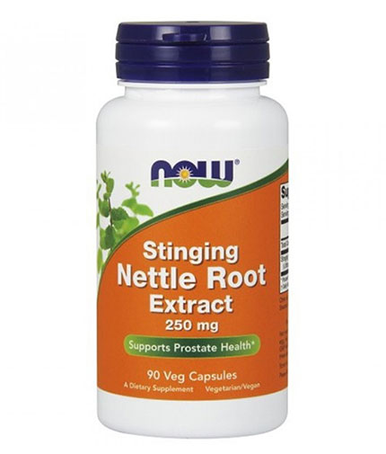 NOW Stinging Nettle Root Extract 250mg. / 90 VCaps.