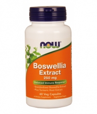 NOW Boswellia Extract 250mg. / 60 VCaps.