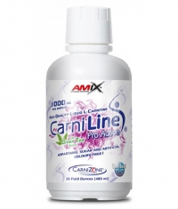 AMIX CarniLine ® ProActive 480 ml.