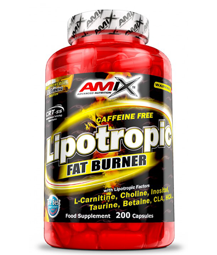 AMIX Lipotropic Fat Burner / 200 Caps 0.200