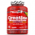 AMIX Creatine Monohydrate / 500 Caps