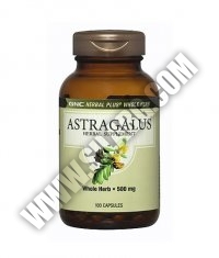 GNC Astragalus 500mg. / 100 Caps.