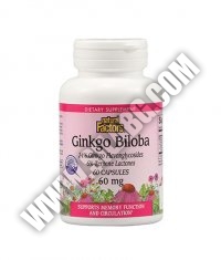 NATURAL FACTORS Ginkgo Biloba 60mg. / 60 Caps.