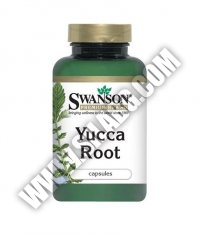 SWANSON Yucca Root 500mg. / 100 Caps.