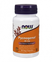 NOW Pycnogenol 30mg / 30 Caps.