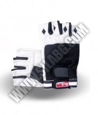 BIOTECH USA Lincoln Gloves