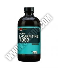 OPTIMUM NUTRITION Liquid L-Carnitine 1000 mg. / 355 ml.