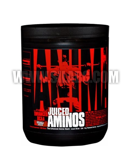 UNIVERSAL ANIMAL Juiced Aminos 0.368