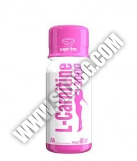 FA NUTRITION L-Carnitine 3000 Shot - 100ml.