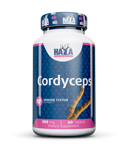 HAYA LABS Cordyceps 500 mg / 60 Tabs
