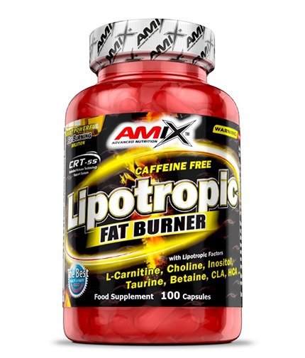 AMIX Lipotropic Fat Burner / 100 Caps 0.100