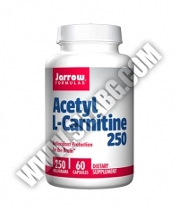 Jarrow Formulas Acetyl L-Carnitine 250mg. / 60 Caps.