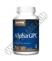 Jarrow Formulas Alpha GPC 300mg. / 60 Caps.