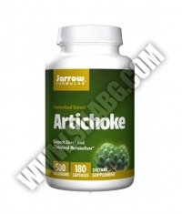 Jarrow Formulas Artichoke 500mg. / 180 Caps.