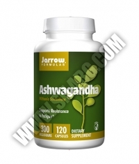 Jarrow Formulas Ashwagandha 300mg. / 120 Caps.