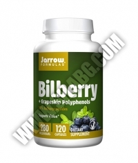 Jarrow Formulas Bilberry + Grapeskin Polyphenols 280mg. / 120 Caps.