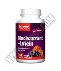 Jarrow Formulas Blackcurrant + Lutein / 60 Caps.