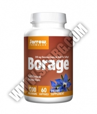 Jarrow Formulas Borage (GLA) 1200mg. / 60 Soft.