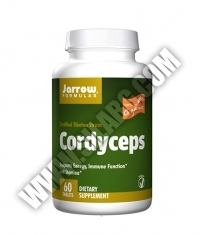 Jarrow Formulas Cordyceps / 60 Tabs.