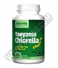 Jarrow Formulas Yaeyama Chlorella / 300 Tabs.