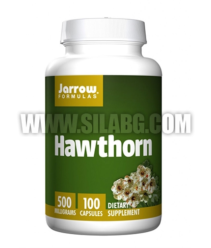 Jarrow Formulas Hawthorn 500mg. / 100 Caps.