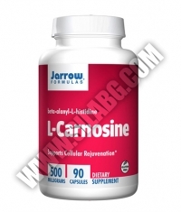 Jarrow Formulas L-Carnosine 500mg. / 90 Caps.