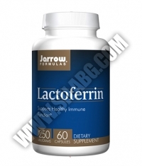 Jarrow Formulas Lactoferrin 250mg. / 60 Caps.