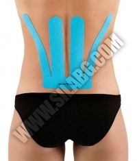 SPIDERTECH PRE-CUT LOWER BACK