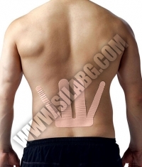 SPIDERTECH PRE-CUT LOWER BACK (GENTLE)