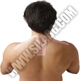SPIDERTECH PRE-CUT NECK (GENTLE)